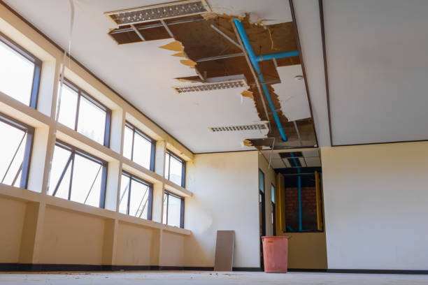 Best Flood restoration services  in Hunters Creek, FL