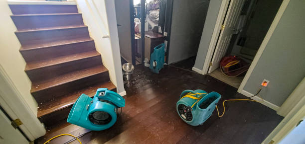 Best Commercial water damage restoration  in Hunters Creek, FL