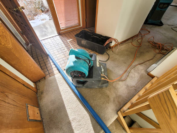 Best Water damage contractors near me  in Hunters Creek, FL