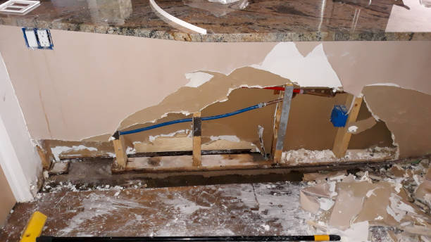 Best Basement water damage restoration  in Hunters Creek, FL