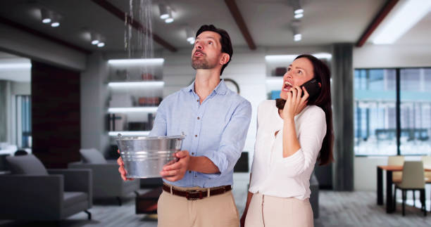 Best Residential water damage restoration  in Hunters Creek, FL